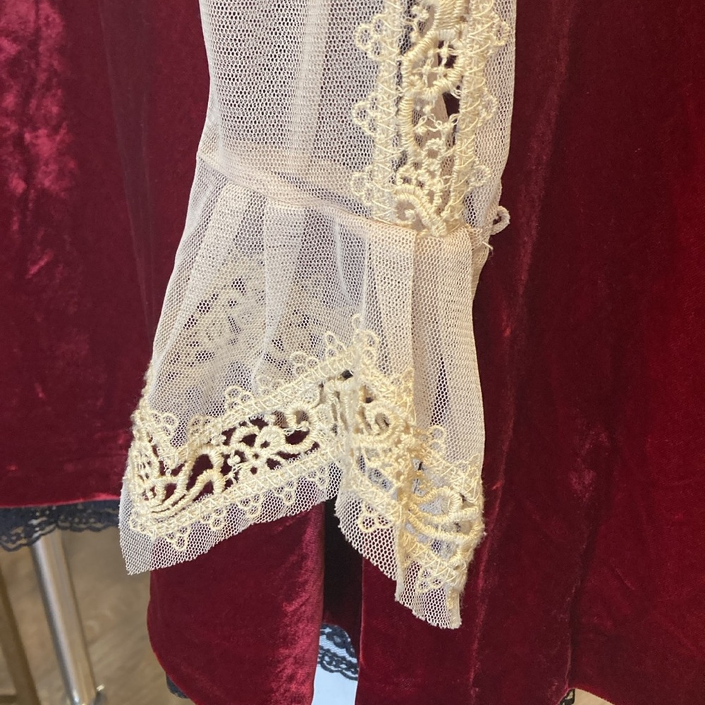 Free People Nude Mesh Lace Burgundy Velvet Dress - Picture 4 of 5